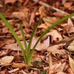 Instant Mania: Giving Myself Permission to Grow Slowly