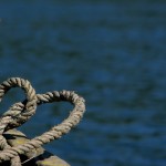 love knot